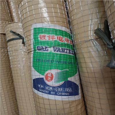 China 16 Gauge Galvanized Welded Wire Mesh Roll 1 X 1/2 Inch For Raising Animals for sale