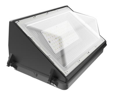 China 80W/100W outdoor light housing extrusted aluminum PC cover balck color garden light DLC standard for sale