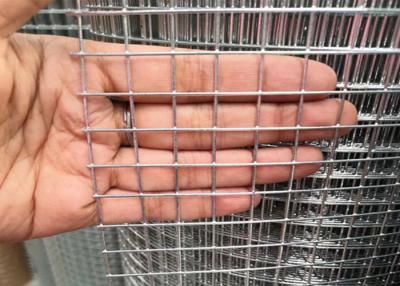 China poultry fence WG18 25.4X25.4mm Welded Wire Mesh Fence for sale