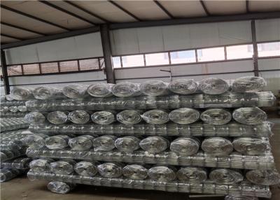 China Buiding Decorative 1 Inch Galvanized Welded Wire Mesh for sale