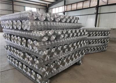 China 2m Width Hot Dipped Galvanized 1x1 Welded Wire Mesh for sale