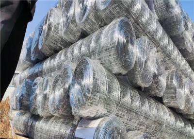 China Animal Farms 1x1 25x25mm Galvanised Welded Wire Mesh for sale