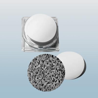 China 0.45μm Nylon Membrane Disc Filter Diameter 47mm ISO9001 Goedgekeurd Te koop