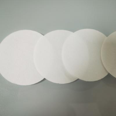 China Hydrophilic Microporous Polyethersulfone PES Membrane Disc Filter High Porosity for sale