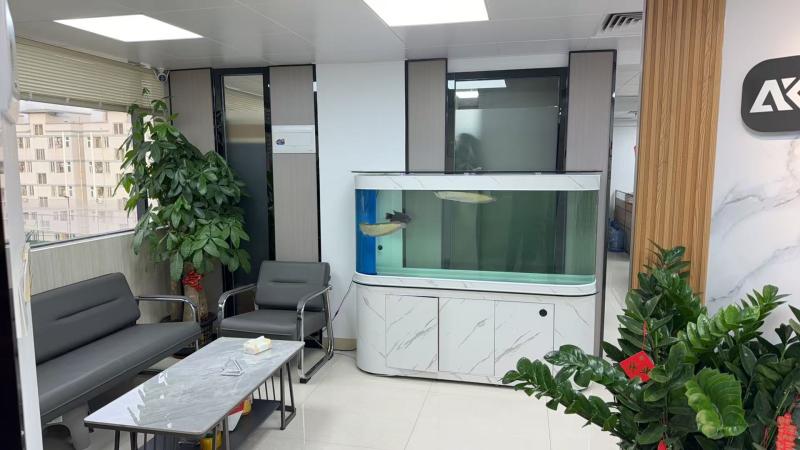 Verified China supplier - Shenzhen Wo Koxun Electronic Technology Co.，Ltd.