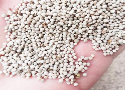 China High Purity Small Bird Food White Perilla Seed Wild Sesame For Birds Feed for sale