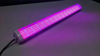 China Indoor 60W LED Grow Light Bar Corrosion Resistance Metal PCB Board Design for sale