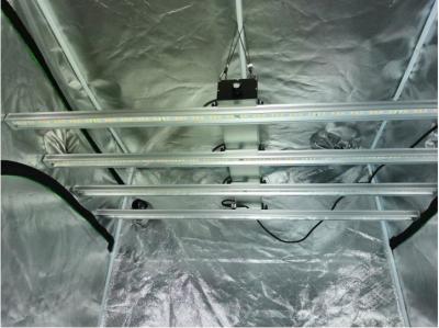 China 4 In One LED Grow Lights , LED Grow Light Bar AC85 - 265V Input Voltage for sale