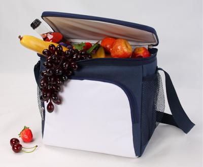 China cooler bag for food soft cooler bag from Xiamen-HAC13106 for sale