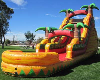 China Multicolor Amusement Pool Full Printing Inflatable Water Slide for sale
