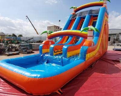 China 1000D Palm Tree Bouncy Castle Water Slide For Backyard Hotel for sale