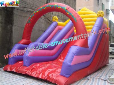 China Outdoor Inflatables blow up Slides with thick D anchor point rentals for commercial, home for sale