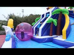 Giant Inflatable Water Slide Park Combo Pool
