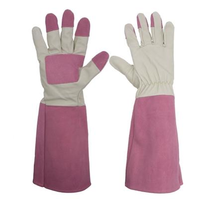 China Rose Pruning Elbow Heavy Duty Gardening Gloves Ladies Abrasion Resistant for sale