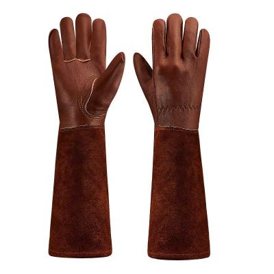 China Rose Pruning Goatskin Palm Long Sleeve Gardening Leather Gloves Thornproof for sale