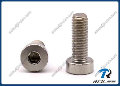 China 18-8/304/316 Stainless Steel Low Profile Socket Head Cap Screws for sale