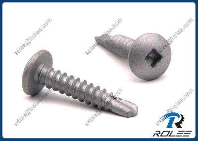 China Disgo Plated 410 Stainless Steel Square Drive Truss Head Self Drilling Screws for sale