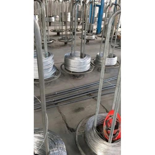 Quality Free Sample 8mm Stainless Steel Wire Rope 7x19 SS 316 Wire Rope for sale