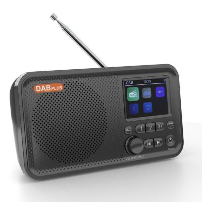 China Telescopic Antenna DAB Wireless Radio Rechargeable Wireless Portable for sale