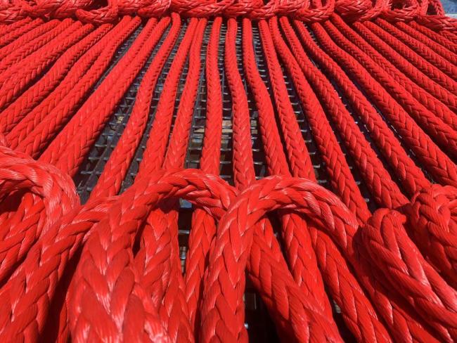 12-Strand UHMWPE Rope in various colors