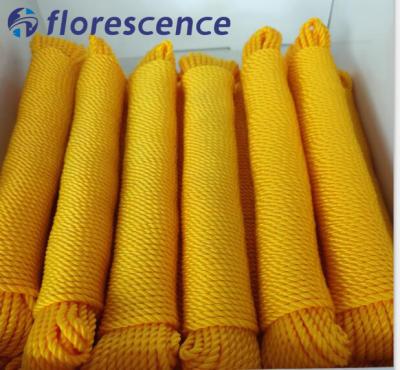 China 3 Strand Polyethylene Fishing Rope 2mm-30mm for Marine Agriculture for sale