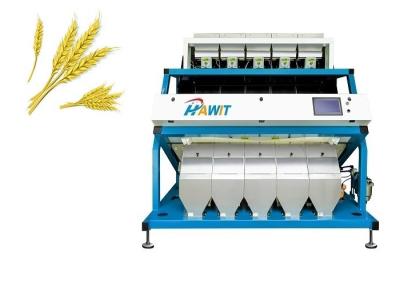 China Lentil Chickpea Wheat Color Sorter for sale