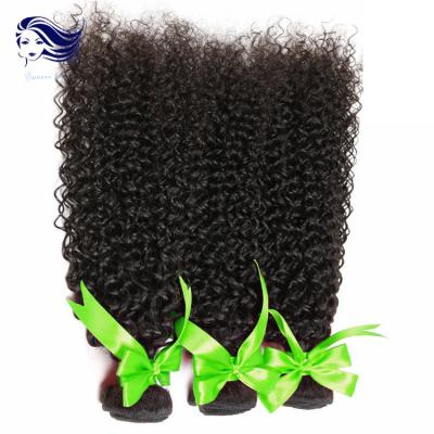 China Kinky Curly Virgin Indian Hair Extensions Micro Weft 8A Grade Hair for sale