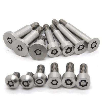 China Safety Security Stainless Steel Nut And Bolt Anti Theft Tamper Proof for sale