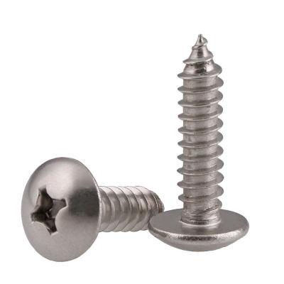 China SS304 Extra Wide M5 Round Head Screw , Natural Self Tapping Machine Screws for sale