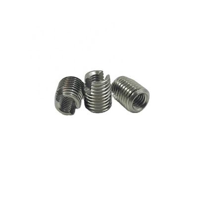 China Self Tapping Stainless Steel Fastener M3-M24 Thread Insert DIN7983 ODM With Holes for sale
