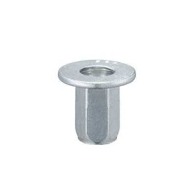 China Hex Head High Strength Nut Blind Rivets Of Stainless Steel Mandrel for sale