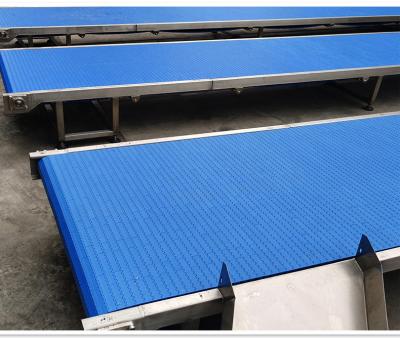China Flat Plastic Mesh Conveyor Belt Hochtemperaturbeständiges PP-Material zu verkaufen