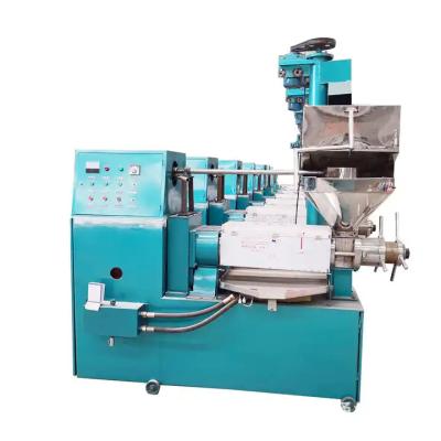 China Automatic Mini Oil Press Machine Commercial Groundnut Oil Production Machine for sale