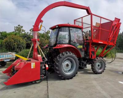 China Self Propelled Tractor Mounted Corn Stalk Silage Harvester Machine Mini Napier Grass Forage Harvester for sale