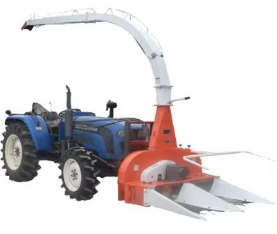 China Tractor montado Ensalado de maíz Recolector Ensalado de forraje Recolector Tractor montado Ensalado de cosecha en venta