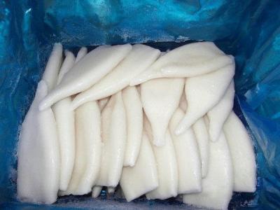 China frozen squid tubes hot-selling seafood from china for sale