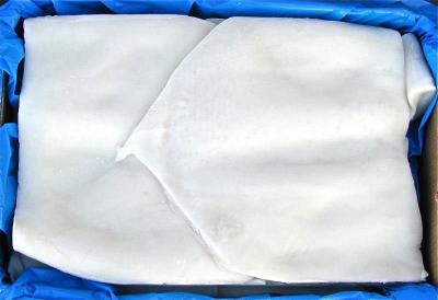 China frozen giant squid fillet skin off in stock for sale
