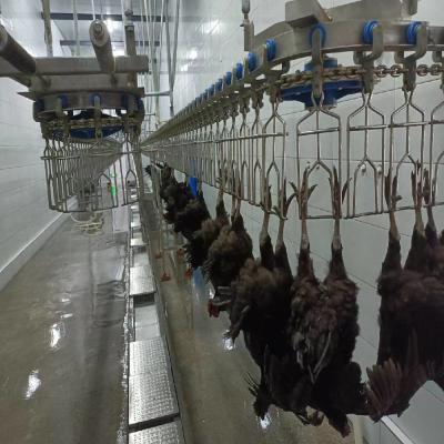 Chine Ligne d'abattage de poulets en acier inoxydable Machines de transformation des volailles à réglage flexible à vendre