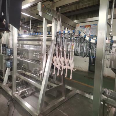 China Máquina de sacrificio de aves de corral Halal Equipo de sacrificio de gallinas de pato de gansos de pavo de codorniz en venta