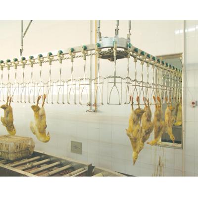 Chine 500 BPH - 12000 BPH Capacité équipement d'abattage d'oie halal personnalisable à vendre