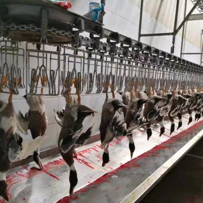China Chicken Goose Turkey Duck Slaughter Machine 1000BPH Poultry Processing Machine for sale