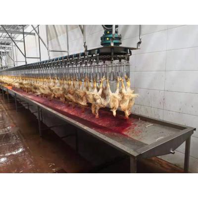 China Agricultura de gallinas, patos y gansos Máquina automática de sacrificio con material de acero inoxidable en venta