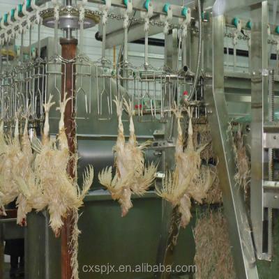 China Máquina de processamento de aves de capoeira de tensão 380V/220V para descascar frangos e abate halal à venda