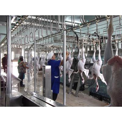 China Poultry Bloodletting Conveying Line 200BPH - 10000BPH Capacity For Farms for sale