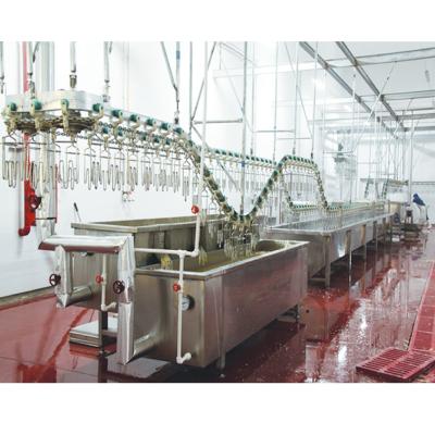 China Chicken Duck Automatic Slaughter Equipment For Poultry Slaughterhouse for sale