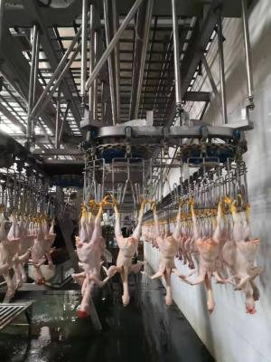 Chine Ligne d'abattage de poulets durable, machine automatique d'abattage, approuvée par la TUV à vendre