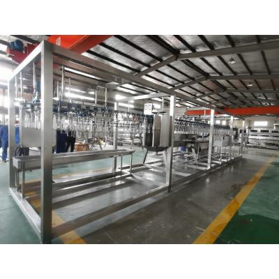 China 220V / 380V Chicken Slaughtering Line 500 Bph Poultry Processing Solution for sale