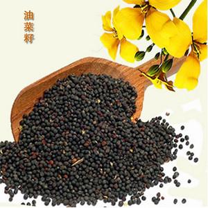 China Rapeseed oil/Canola seeds oil process and rapeseed oil refining equipment for sale