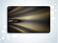 China  1/2/S2048 125HZ Contactless Plastic Gift Rfid Payment Card For Printing for sale