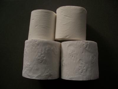 China Flower Embossed Toilet Tissue Paper Bath Tissue 2 Ply 10 Rolls for sale